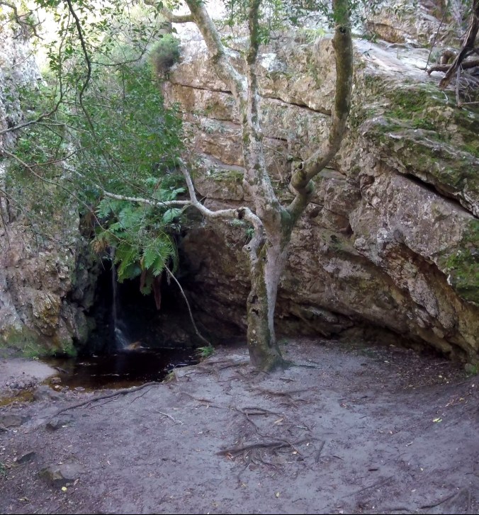 GOPR0514 Fernkloof Nature Reserve waterfall