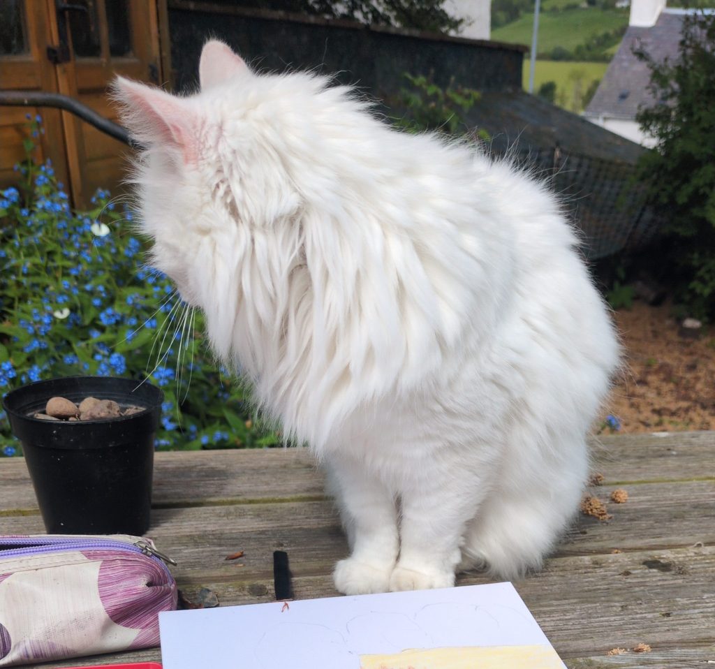 Salty joining me in my sketching.